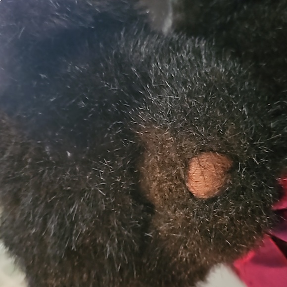 Bombay Company Limited Edition Brown Bear Stuffed Plush Wilson - Picture 2 of 8